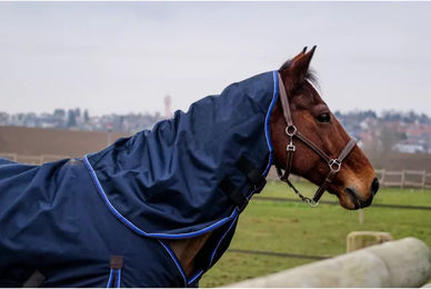 Produktbild von Halsdecke für Pferde Equithème Classic 1200D 150g