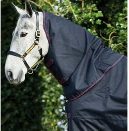 Produktbild von Halsdecke für Pferde Horseware Amigo Bravo 12