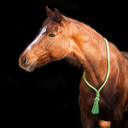 Produktbild von Halsring aus Baumwolle