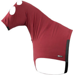 Produktbild von Halsschutz für Pferde BR Equitation Lycrawear