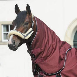 Halsteil für Decke Alaska IV 100g - 100 g – Bild 1 von 2