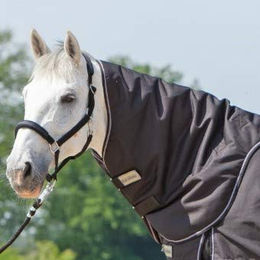 Halsteil für Decke Alaska IV - 100 g – Bild 1 von 2