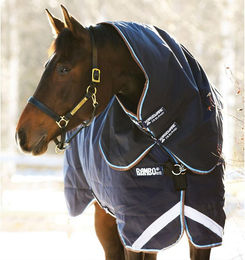 Produktbild von Halsteil Horseware Rambo Duo 100g