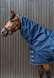 Produktbild von Halsteil RS Seco 50gr