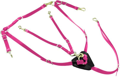 Produktbild von Halsung für Pferde aus Biothan mit Martingal Lakota