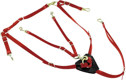 Produktbild von Halsung für Pferde aus Biothan mit Martingal Lakota