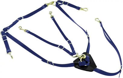 Produktbild von Halsung für Pferde aus Biothan mit Martingal Lakota