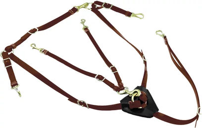 Produktbild von Halsung für Pferde aus Biothan mit Martingal Lakota