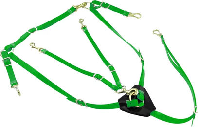 Produktbild von Halsung für Pferde aus Biothan mit Martingal Lakota