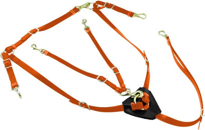 Produktbild von Halsung für Pferde aus Biothane mit Martingal Lakota