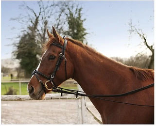 Produktbild von Halsverlängerer schwarz