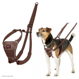 Halti Erziehungsgeschirr No Pull Harness Deep Walnut, Größe: M – Bild 1 von 6