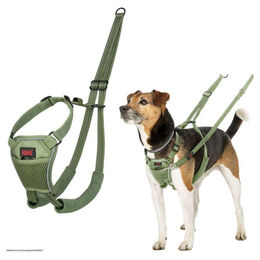 Halti Erziehungsgeschirr No Pull Harness Forest Green, Größe: M – Bild 1 von 6