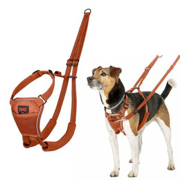 Produktbild von Halti Harness No Pull Trainingsgeschirr - orange: Größe XS, z.B. Chihuahua