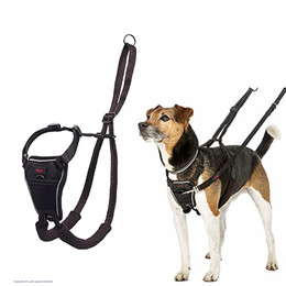 Produktbild von Halti Harness No Pull Trainingsgeschirr - schwarz: Größe S, z.B. Corgi, Boston Terrier