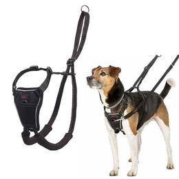 Produktbild von Halti Harness No Pull Trainingsgeschirr - schwarz: Größe XS, z.B. Chihuahua
