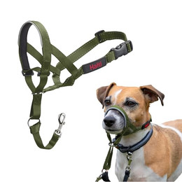 Produktbild von Halti Hunde-Kopfhalfter waldgrün Größe 1 - 1 Stk.