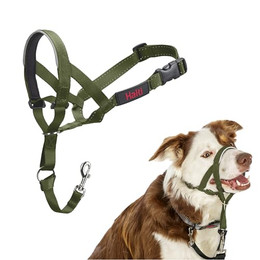 Produktbild von Halti Hunde-Kopfhalfter waldgrün Größe 2 - 1 Stk.