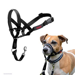 Produktbild von HALTI Kopfgeschirr für kleine Hunde, Größe 1, Schwarz - 1 Stk.