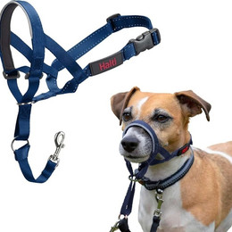 Produktbild von Halti Kopfgeschirr/Headcollar blau, Größe: 2