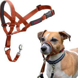 Produktbild von Halti Kopfgeschirr/Headcollar orange, Größe: 1