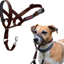 Produktbild von Halti Kopfgeschirr/Headcollar walnuss, Größe: 1