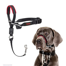 Produktbild von HALTI Optifit Kopfgeschirr Größe Groß - 1 Stk.