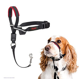Produktbild von HALTI Optifit Kopfgeschirr Größe Mittel - 1 Stk.