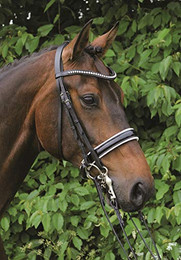 Produktbild von Hans Melzer Horse Equipment Kandare Hamburg LACK schwarz/silber Warmblut