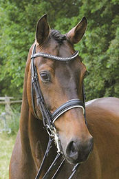 Hans Melzer Horse Equipment Kandare Hamburg schwarz/silber Pony – Bild 1 von 4