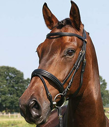 Produktbild von Hans Melzer Horse Equipment Trense Bad Harzburg schwarz/messing Extra Warmblut