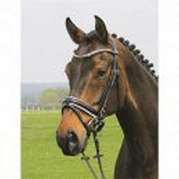 Produktbild von Hans Melzer Horse Equipment Trense Hagen schwarz unterlegt Warmblut