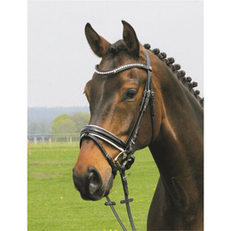 Produktbild von Hans Melzer Horse Equipment Trense Hagen weiß unterlegt Warmblut