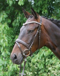 Produktbild von Hans Melzer Horse Equipment Trense Mechtersen braun/silber Extra Warmblut