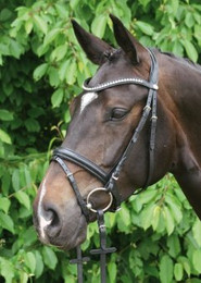 Produktbild von Hans Melzer Horse Equipment Trense Valluhn schwarz/silber englisches Reithalfter Warmblut