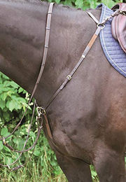 Hans Melzer Horse Equipment Vorderzeug Bad Harzburg – Bild 1 von 3