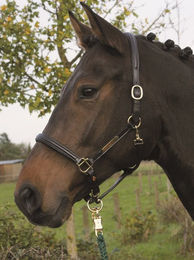 Hans Melzer Lederhalfter Hünxe schwarz/messing – Bild 1 von 2