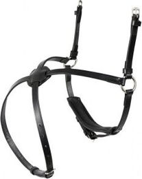 Produktbild von Hans Melzer Reithalfter mexikanisch schwarz/silber schwarz unterlegt