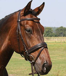 Hans Melzer Trense Bad Harzburg braun/silber Pony – Bild 1 von 2