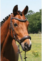 Hans Melzer Trense Calgary hannoversches Reithalfter braun/silber – Bild 1 von 2