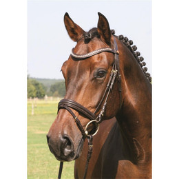 Produktbild von Hans Melzer Trense Mechtersen braun/silber Pony