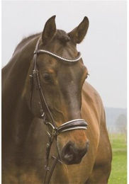 Hans Melzer Trense Valluhn schwarz/silber hannoversches Reithalfter weiß unterlegt – Bild 1 von 2