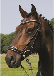 Hans Melzer Trense Valluhn schwarz/silber hannoversches Reithalfter weiß unterlegt Pony – Bild 1 von 2