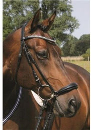 Hans Melzer Trense Valluhn schwarz/silber mit hannoverschem Reithalfter – Bild 1 von 2