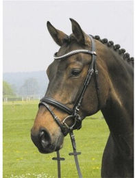 Hans Melzer Trense Valluhn schwarz/silber schwedisches Reithalfter – Bild 1 von 2