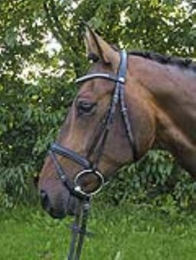 Hans Melzer Trense Wiesbaden schwarz/silberne Kristalle schwarz unterlegt – Bild 1 von 2