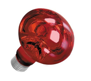 Produktbild von Happet Universal Infrarotlampe Night Heat 75 W - 75 Stk.