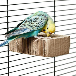 Produktbild von Happy Bird Vogelspielplatz Vogelsitzbrett aus Pappe