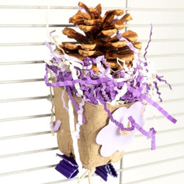 Produktbild von HappyBird Pinecone Cup natürliches Knabberspielzeug zur Wandbefestigung lila/weiß