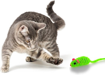 Produktbild von Happypet Fiesta Mäuse Spielzeug für Katzen